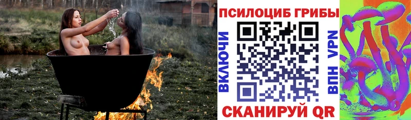 Купить закладки  Батайск  Псилоцибиновые грибы прущие грибы 